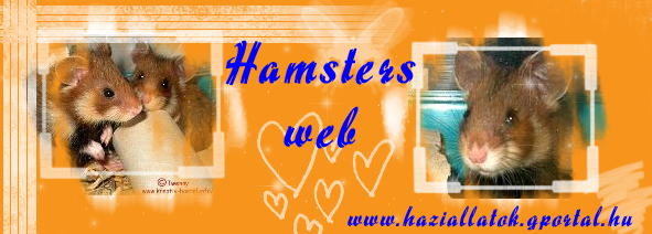 Hamster web
